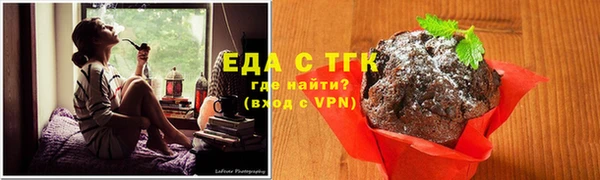 дживик Вязьма