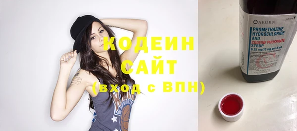 дживик Вязьма
