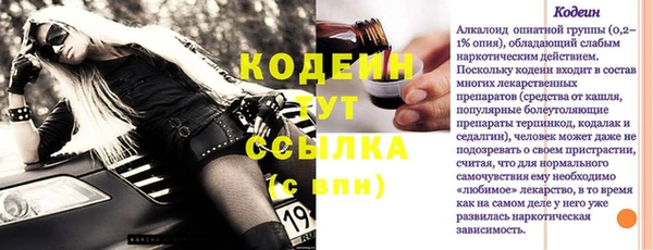прущие грибы Новодвинск