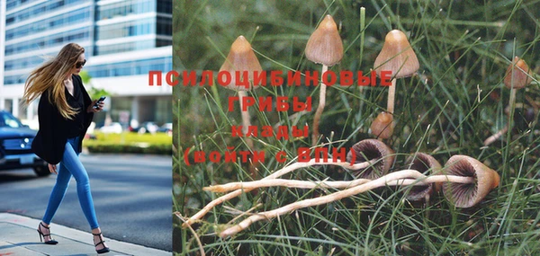 таблы Медвежьегорск