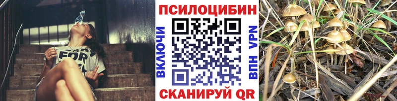 Галлюциногенные грибы Magic Shrooms  Жуков 